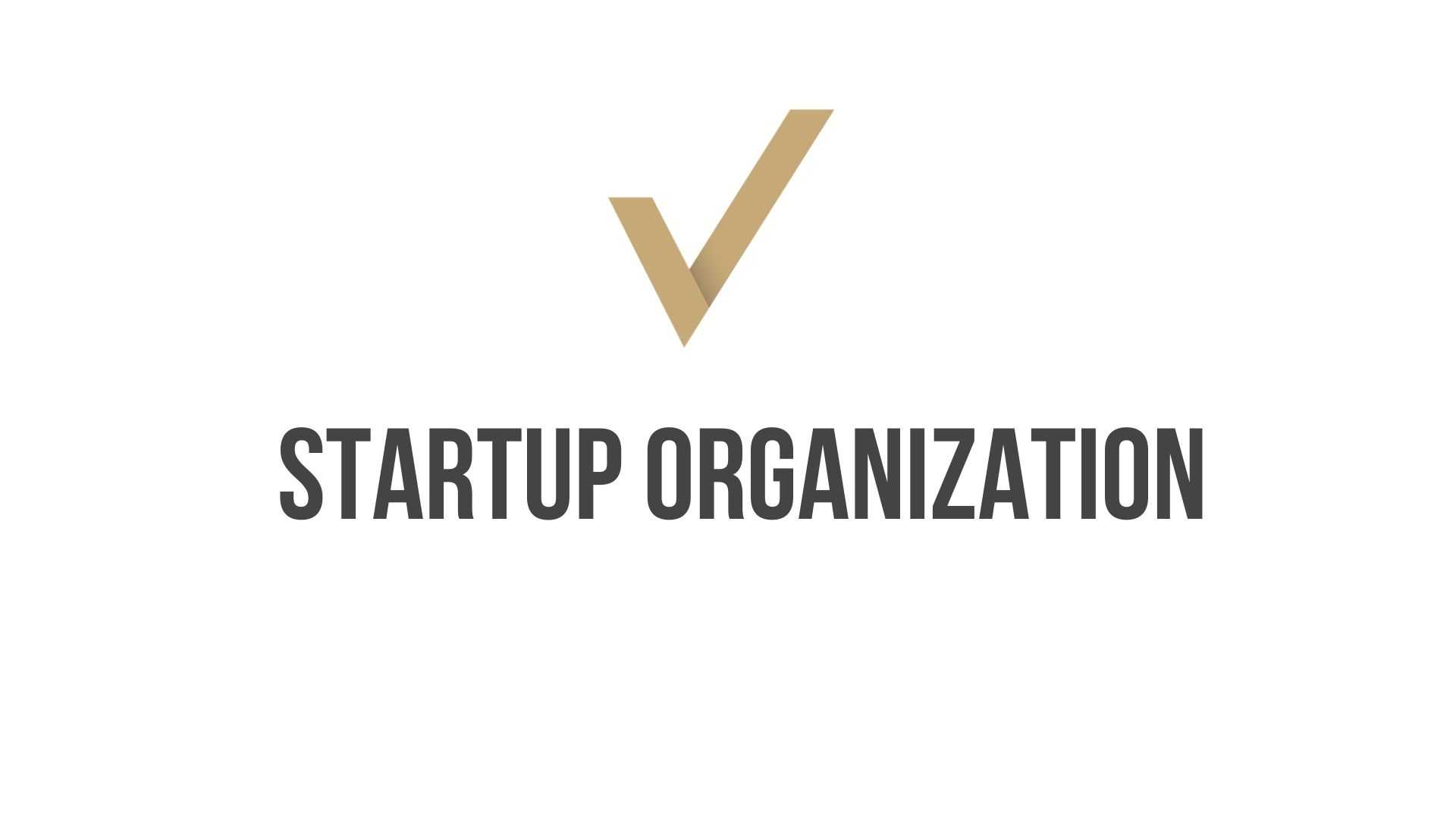 Startup Initial Organization